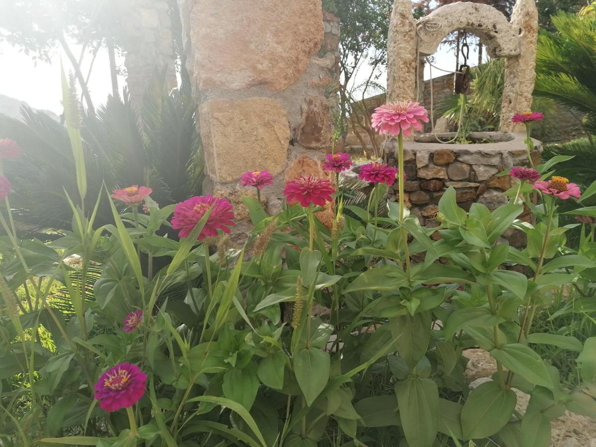 Villa Nonna Nina Capaci Zewnętrze zdjęcie